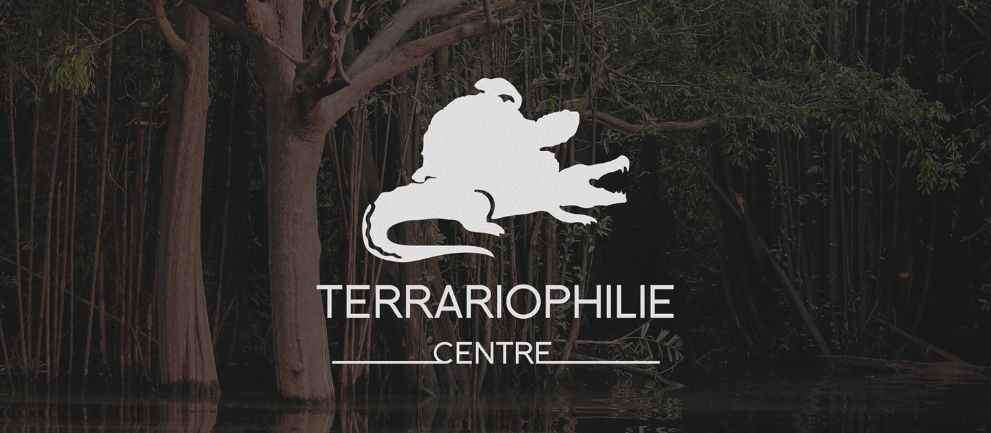 Terrariophilie Centre — identité et site internet mis en scène
