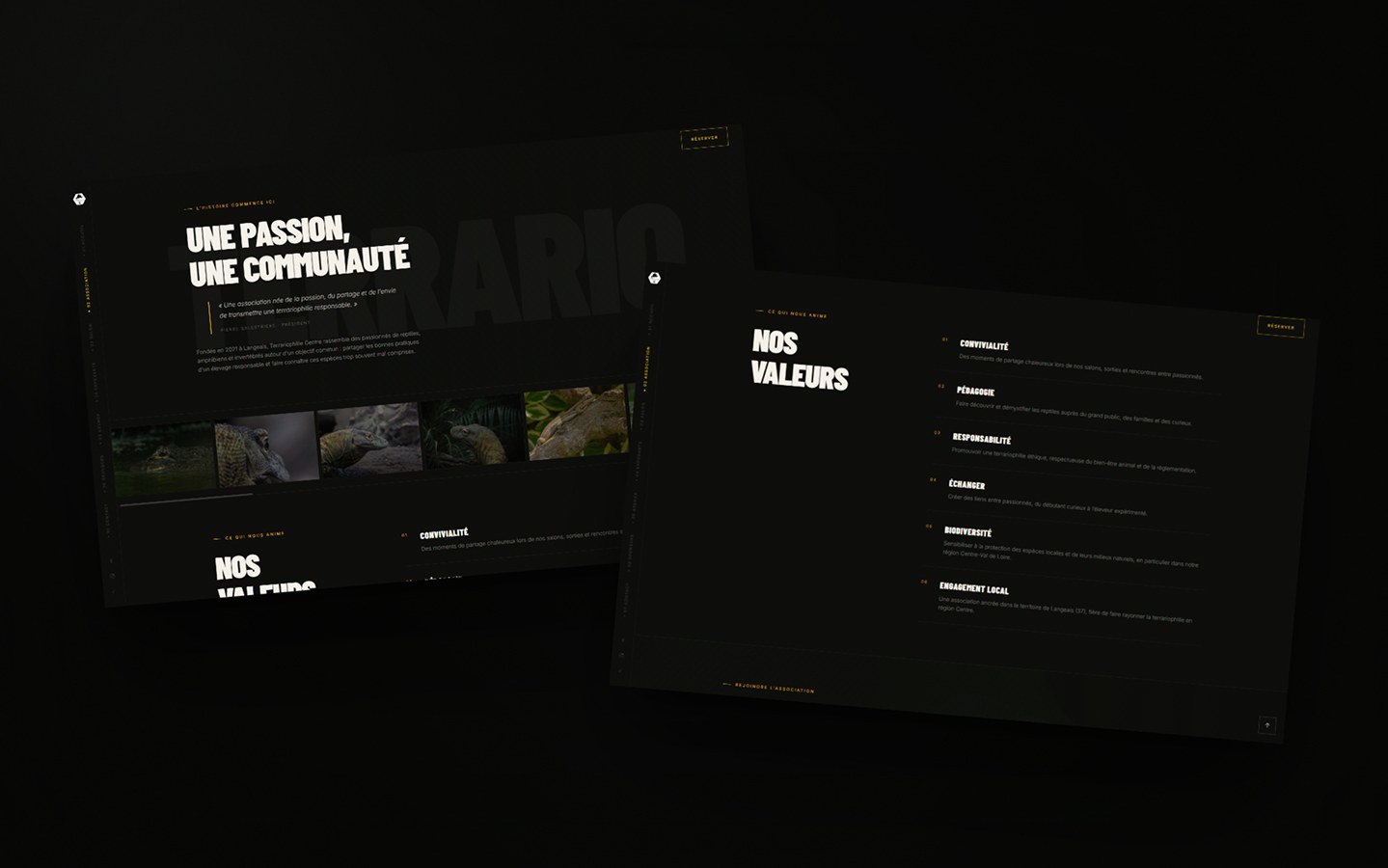 Site internet Terrariophilie Centre — une passion, une communauté et nos valeurs
