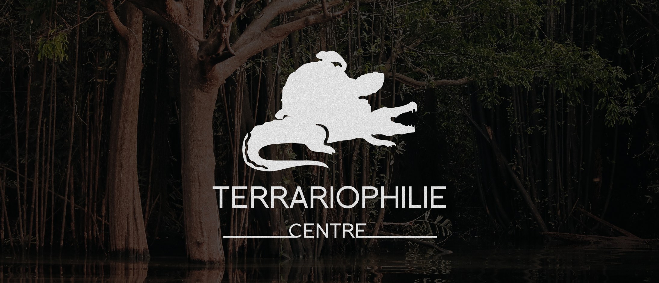 Terrariophilie Centre — site internet et identité visuelle